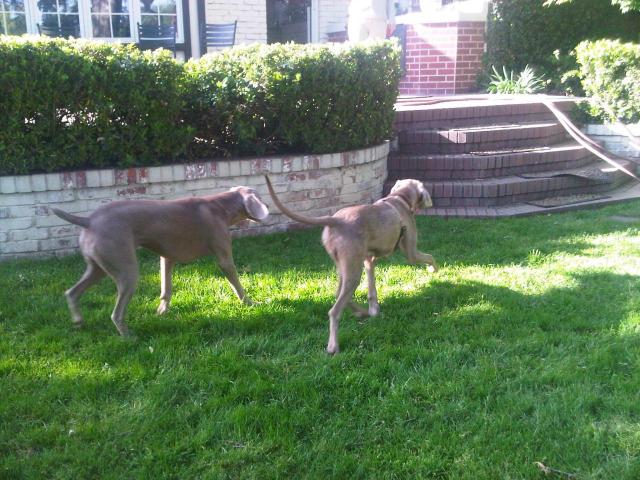 Isabella and Buddy